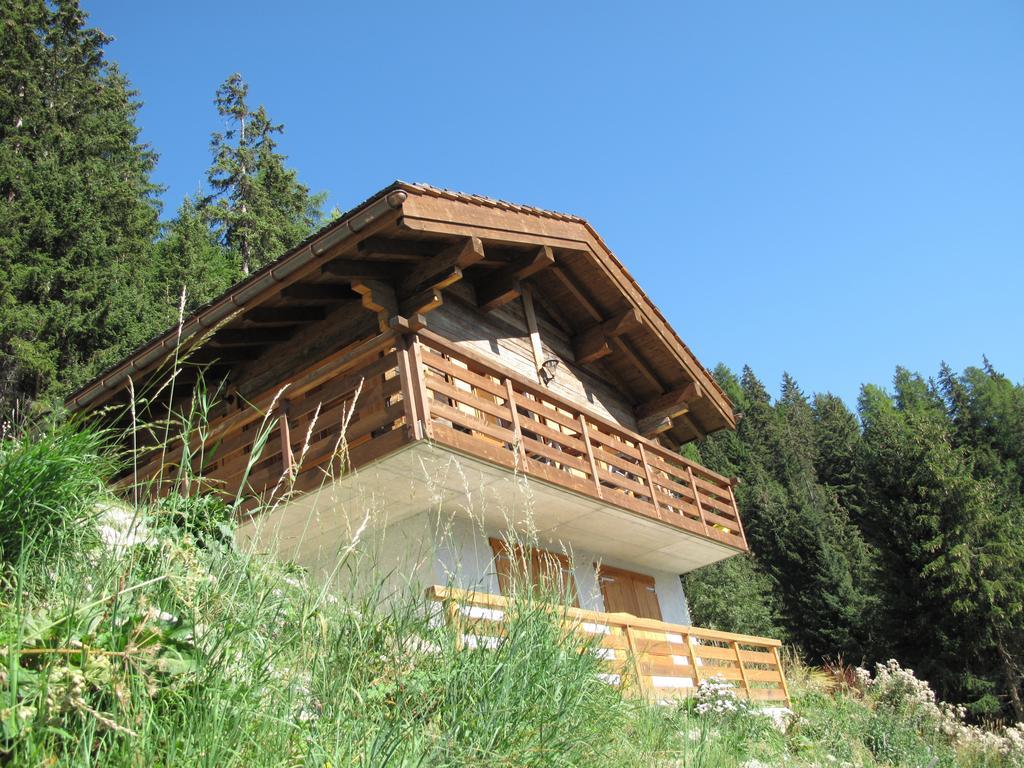 Willa Chalet Amos Grimentz Zewnętrze zdjęcie